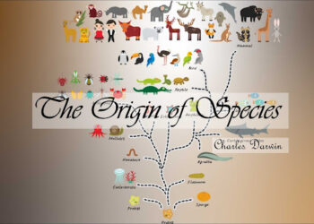 The Dark Side of Evolution Theory: Flaws that Enabled Atrocities